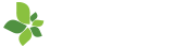 Logo 11 Clicks