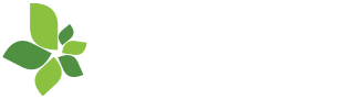 11 Clicks, LLC - logo